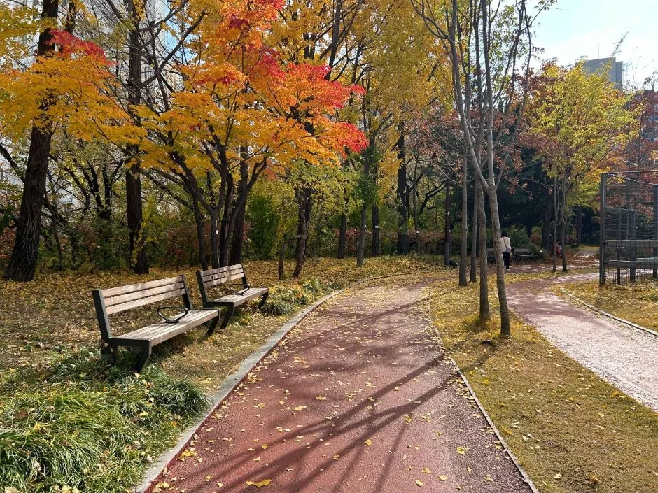 손기정체육공원_5