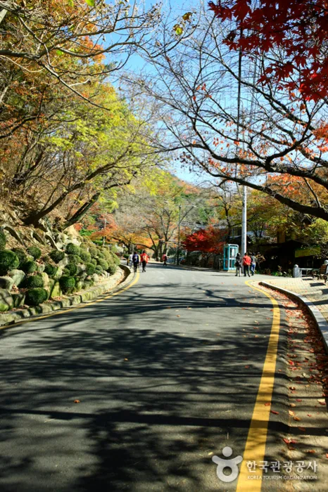 대구_팔공산국립공원(군위군) (6).jpg