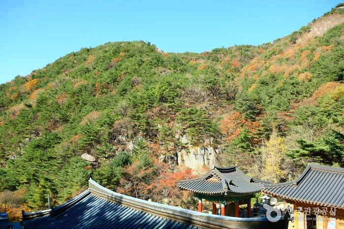 대구_팔공산국립공원(군위군) (4).jpg