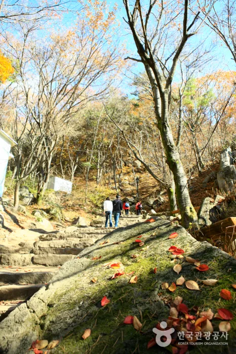 대구_팔공산국립공원(군위군) (5).jpg