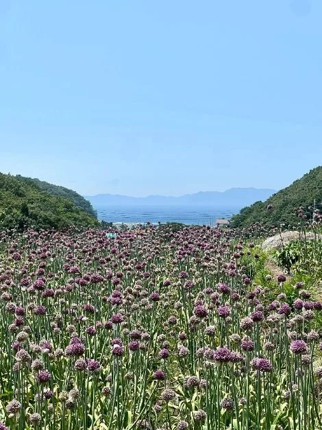 남해_파라다랑스 (3)