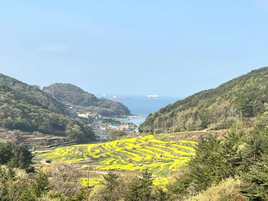 남해_파라다랑스 (5)