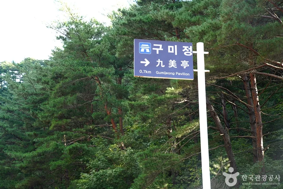 구미정 (4)