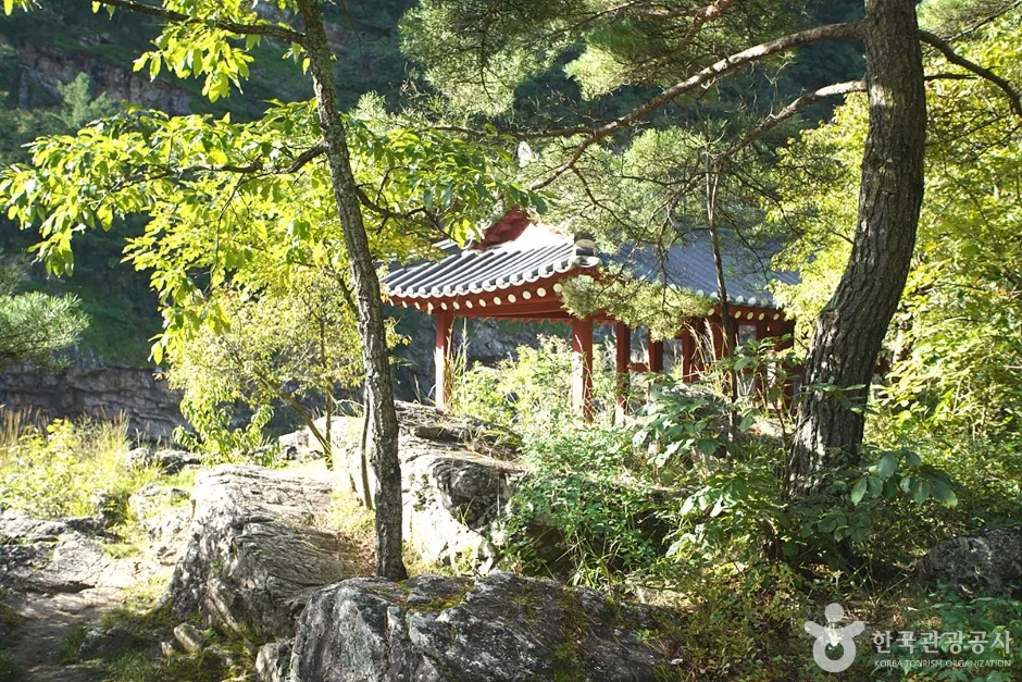 구미정 (15)
