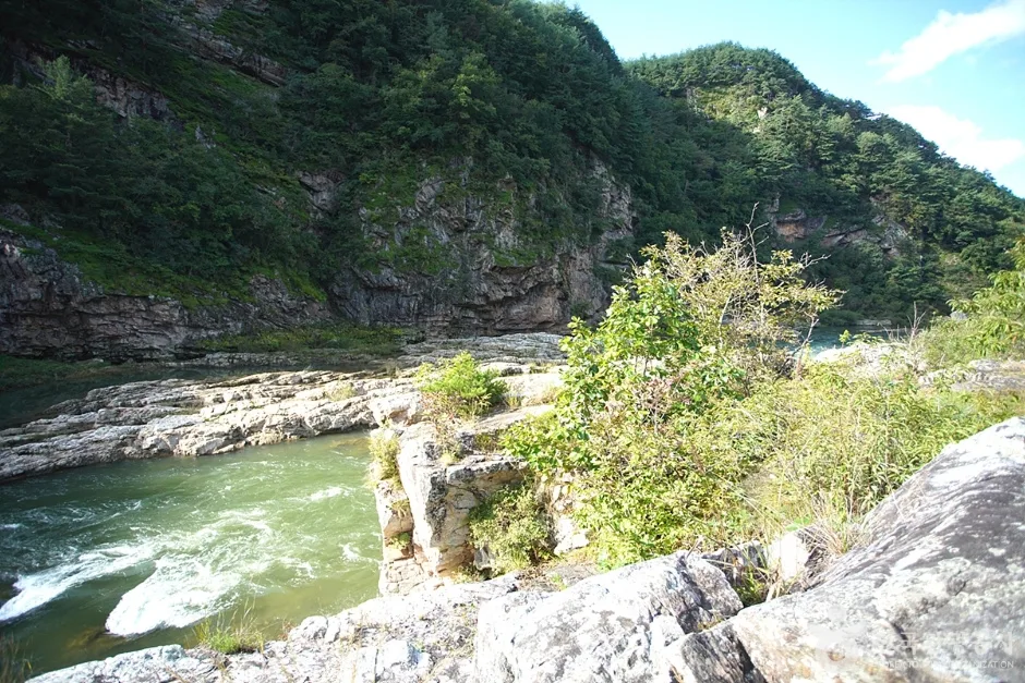 구미정 (10)