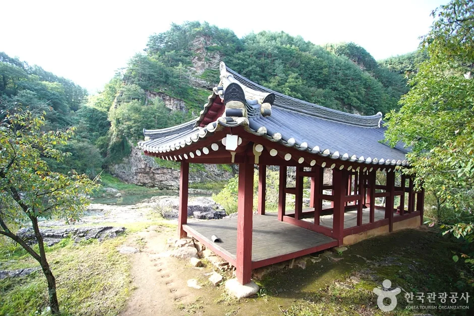 구미정 (19)