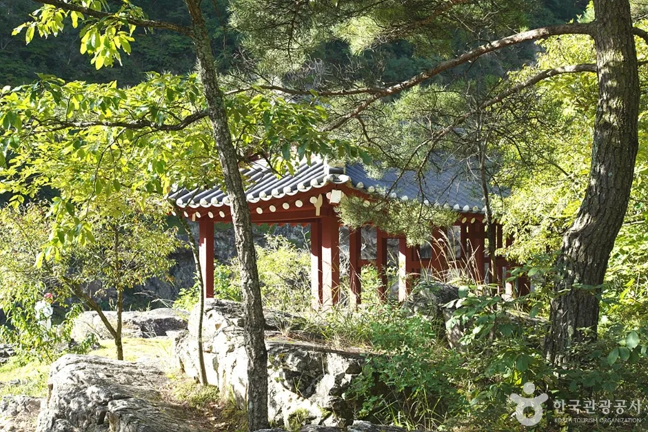 구미정 (11)