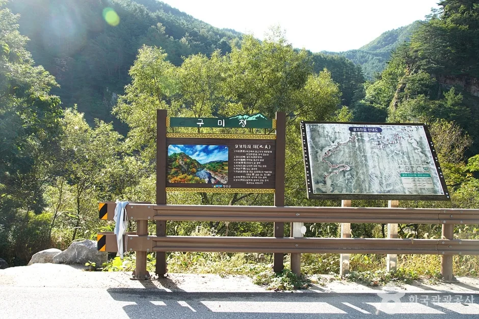 구미정 (7)