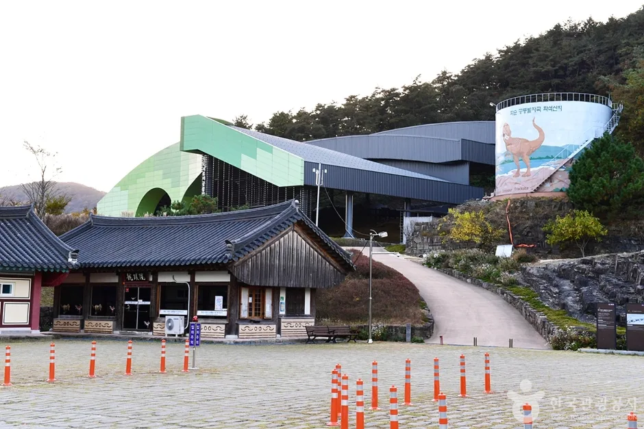 전남_화순_화순 서유리 공룡발자국화석 산지 (2)