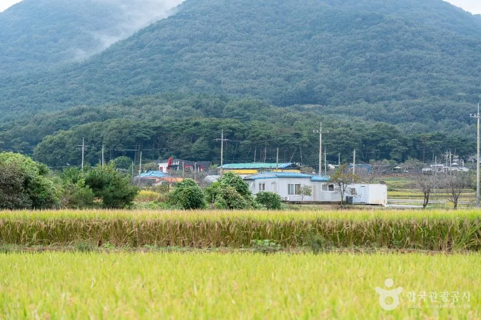 서산시_서산 회포마을 (6)