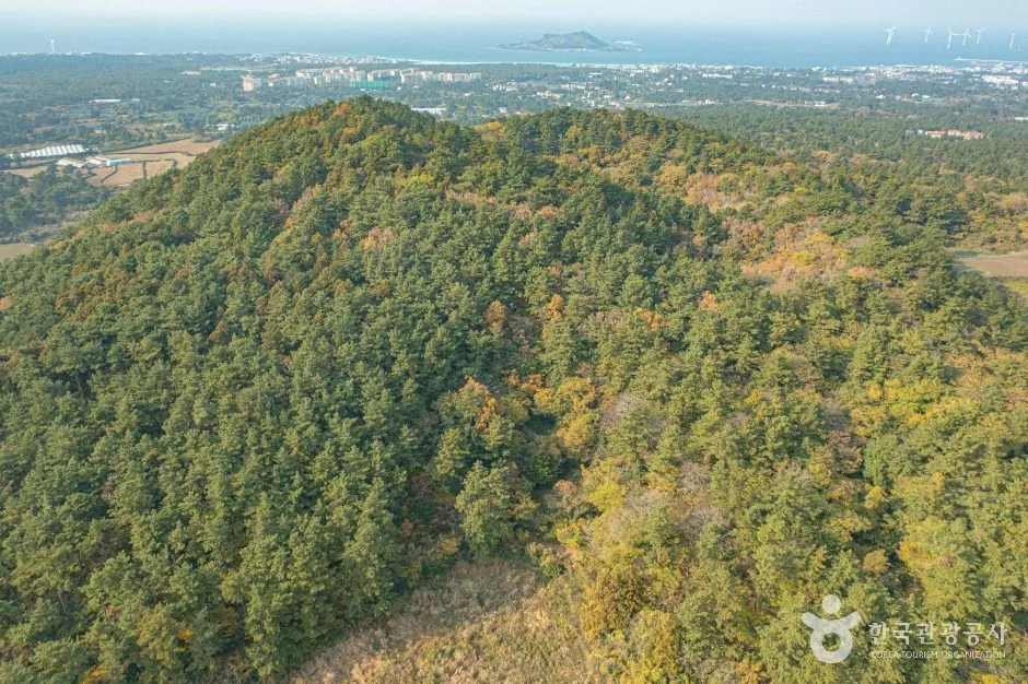 제주_느지리오름 (4)