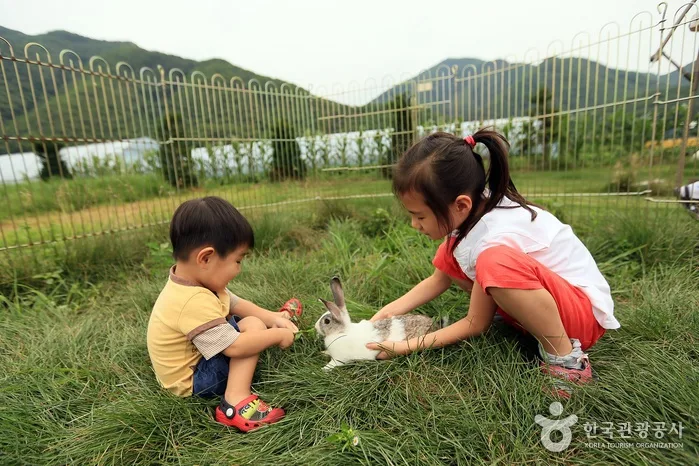 연천_애심목장 (2).jpg