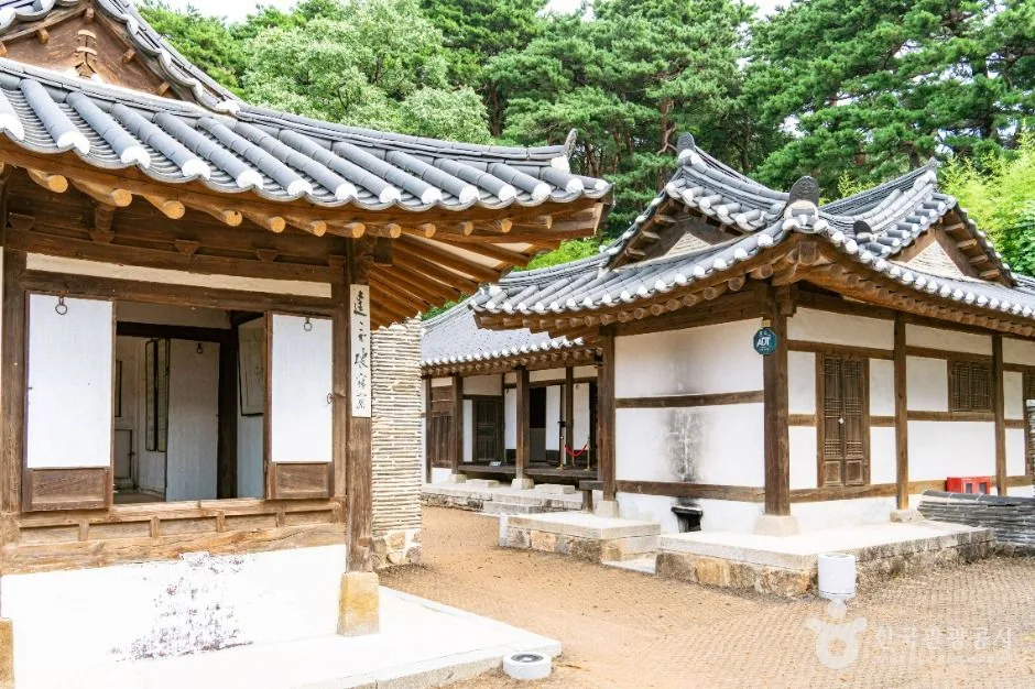 강릉_오죽헌·시립박물관 (3)