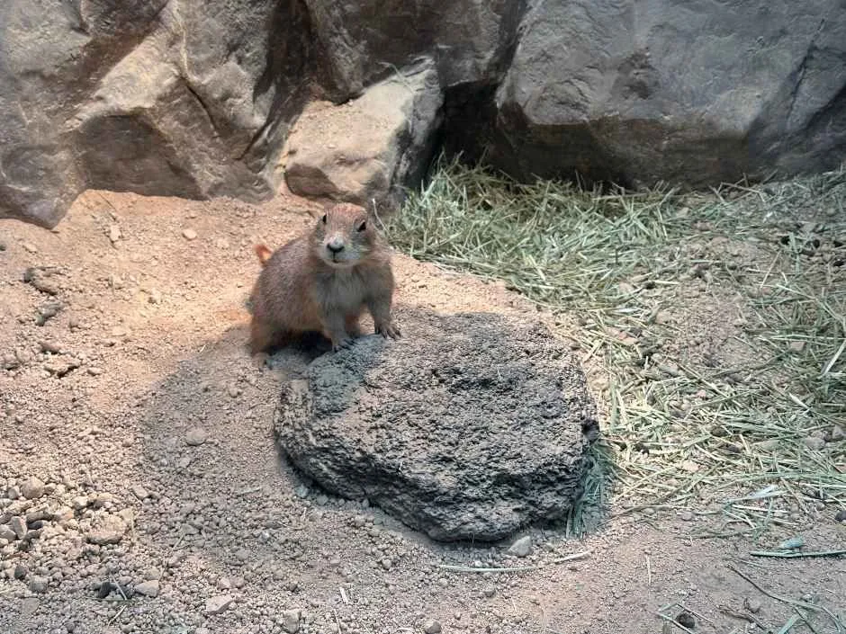 울산_와글와글 동물원 (9).jpg
