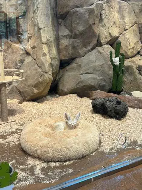 울산_와글와글 동물원 (11).jpg