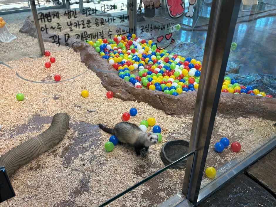 울산_와글와글 동물원 (20).jpg