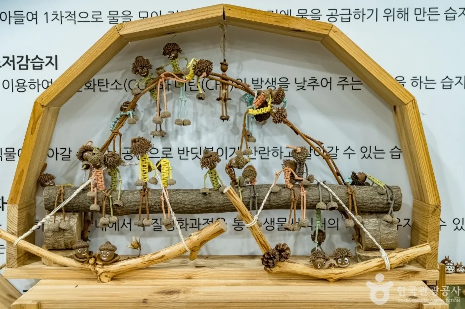 맹산환경생태학습원 (8)