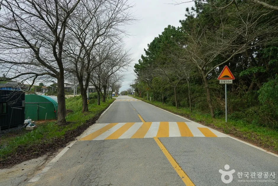 남면 벚꽃길 (3)