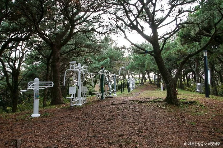 서귀포_삼매봉 (3)