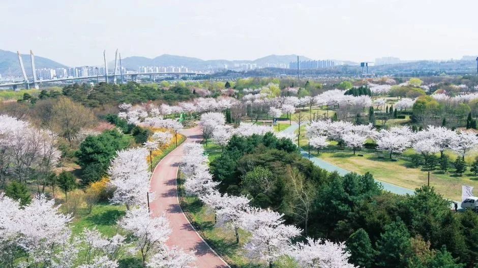 인천_수도권매립지 드림파크 야생화단지 (6)