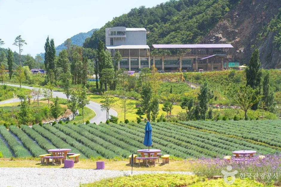무릉별유천지