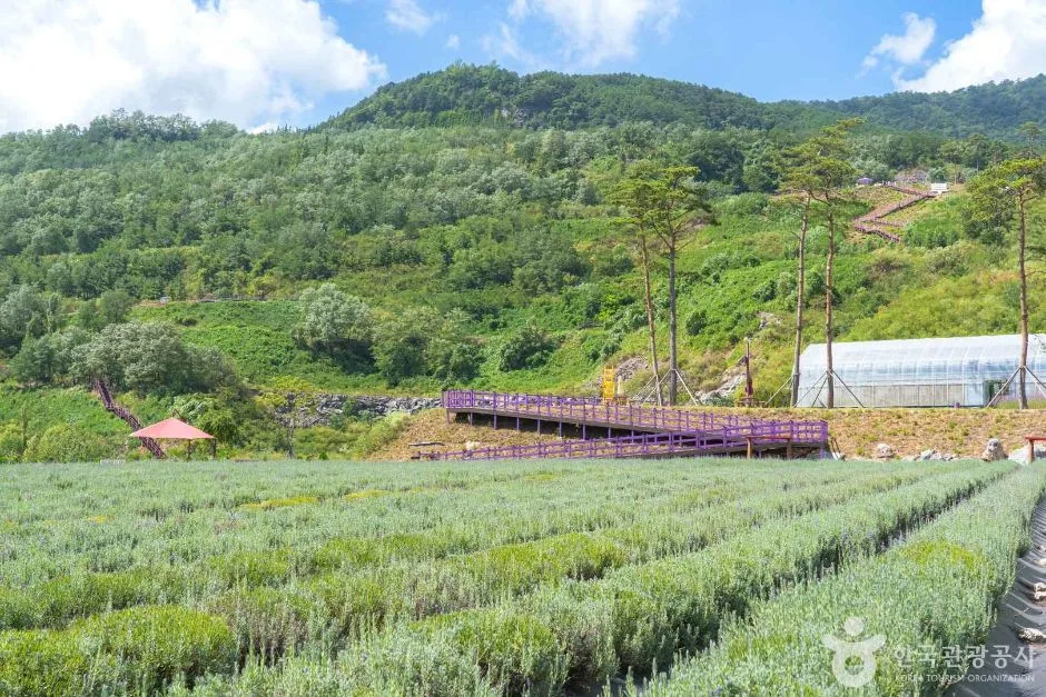무릉별유천지