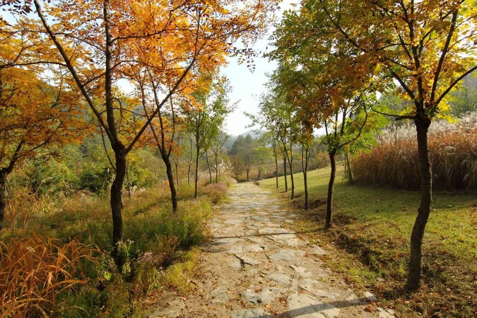 국립한국자생식물원_바람쉼터