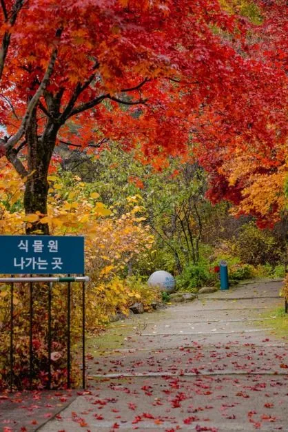 국립한국자생식물원 방문자센터