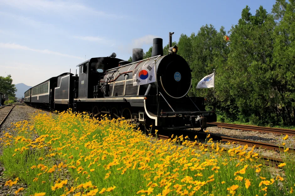 2026 곡성심청어린이대축제 (1).jpg