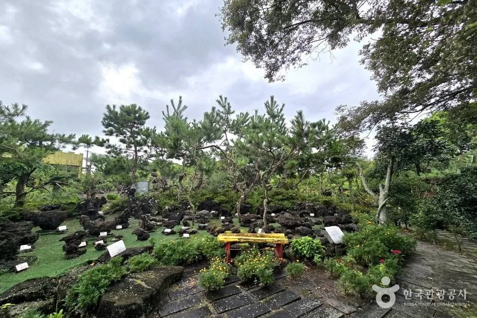 제주돌마을공원 수석전시관_e (10)