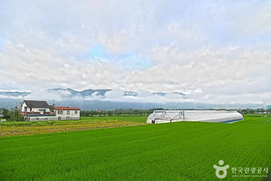 수한마을 (2)