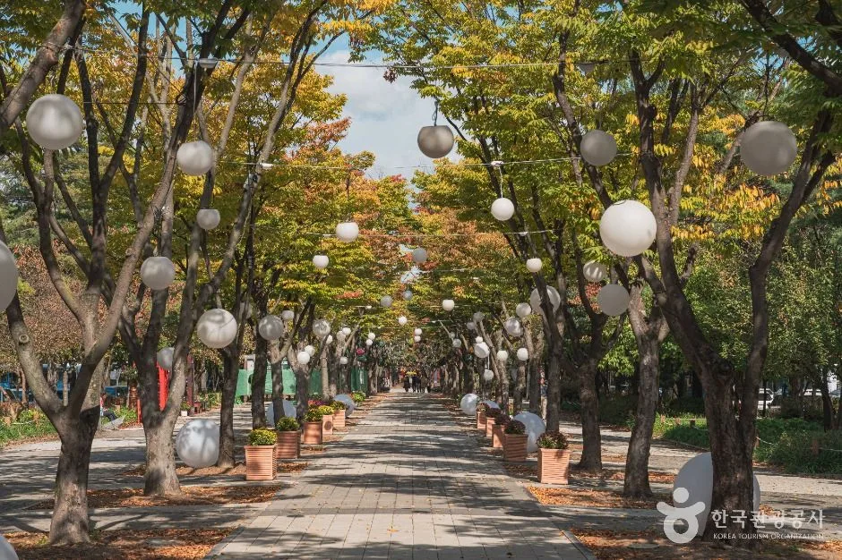 대전_보라매공원 (4)