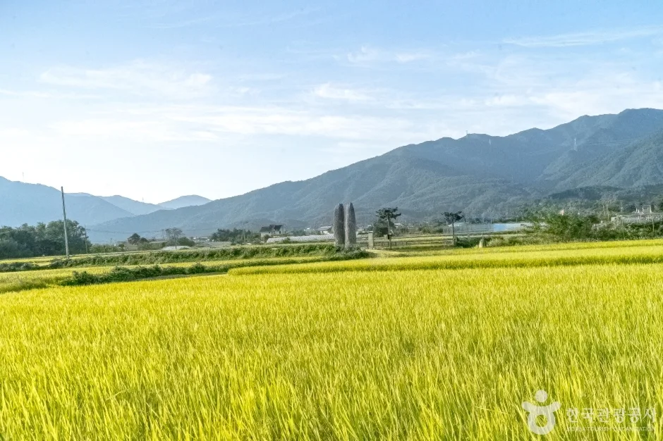 강릉 굴산사지 (5)