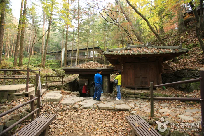 그 길에서 위안을 얻다