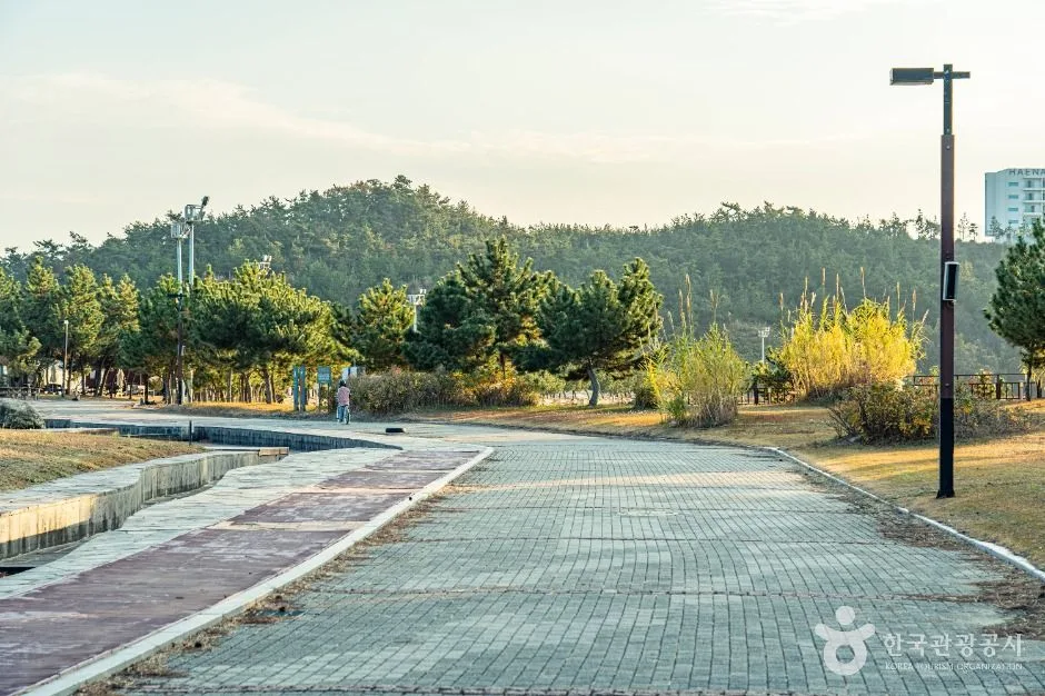 해남_오시아노해수욕장 (13)