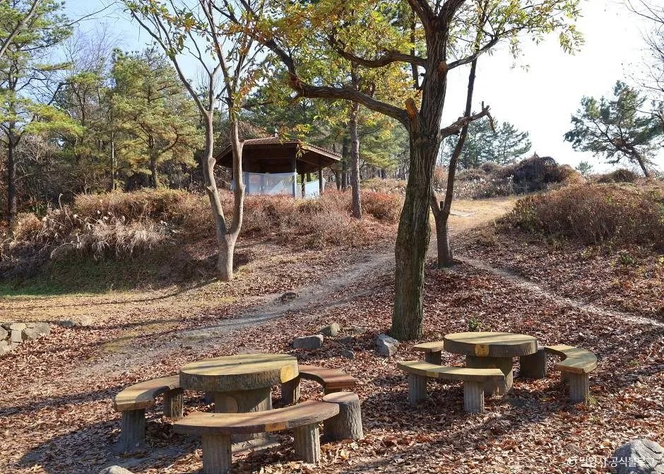 밀양_추화산성 (6)