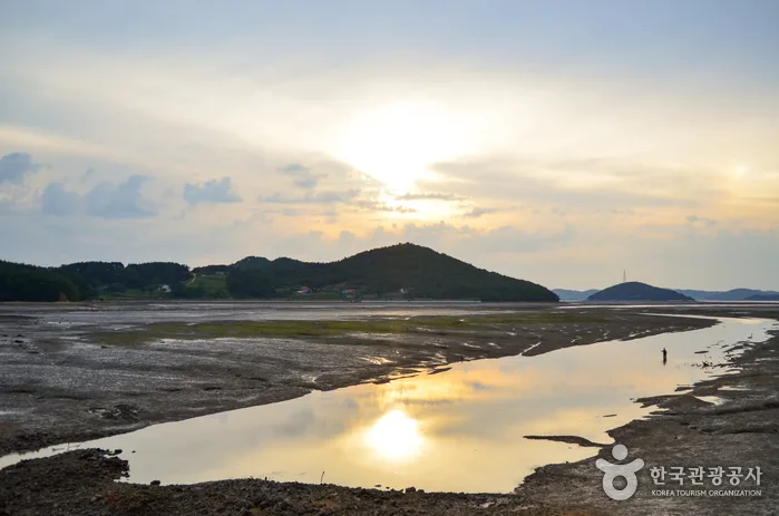 서산의 핵심 역사&자연 관광 코스!