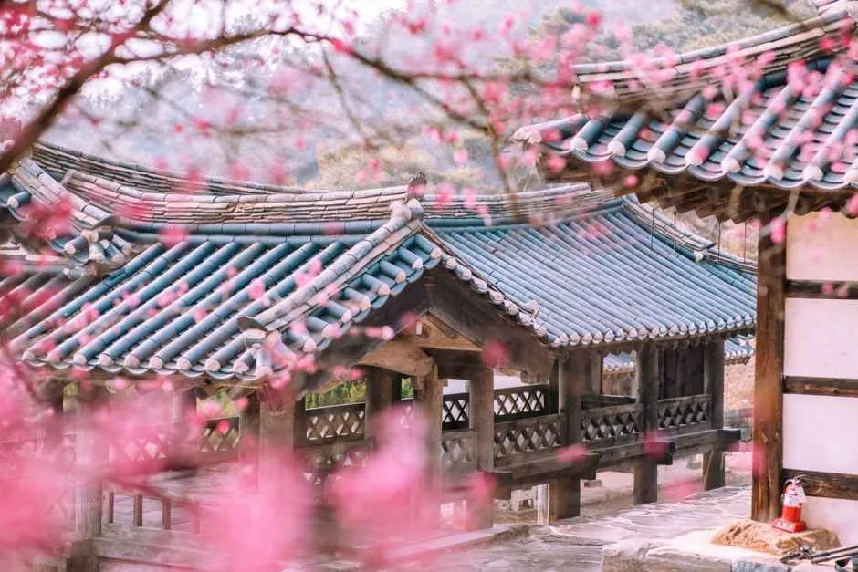 논산_종학당 (1).jpg
