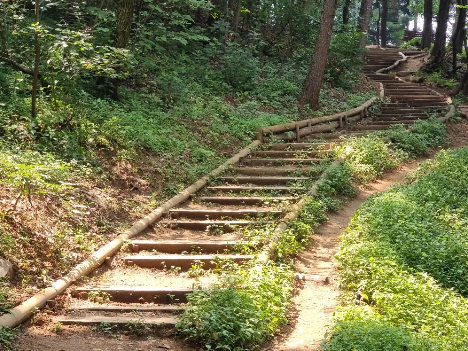 [서울둘레길 10코스] 우면산코스 (10)