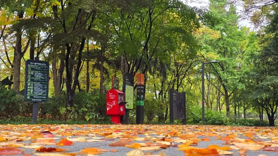 [서울둘레길 10코스] 우면산코스