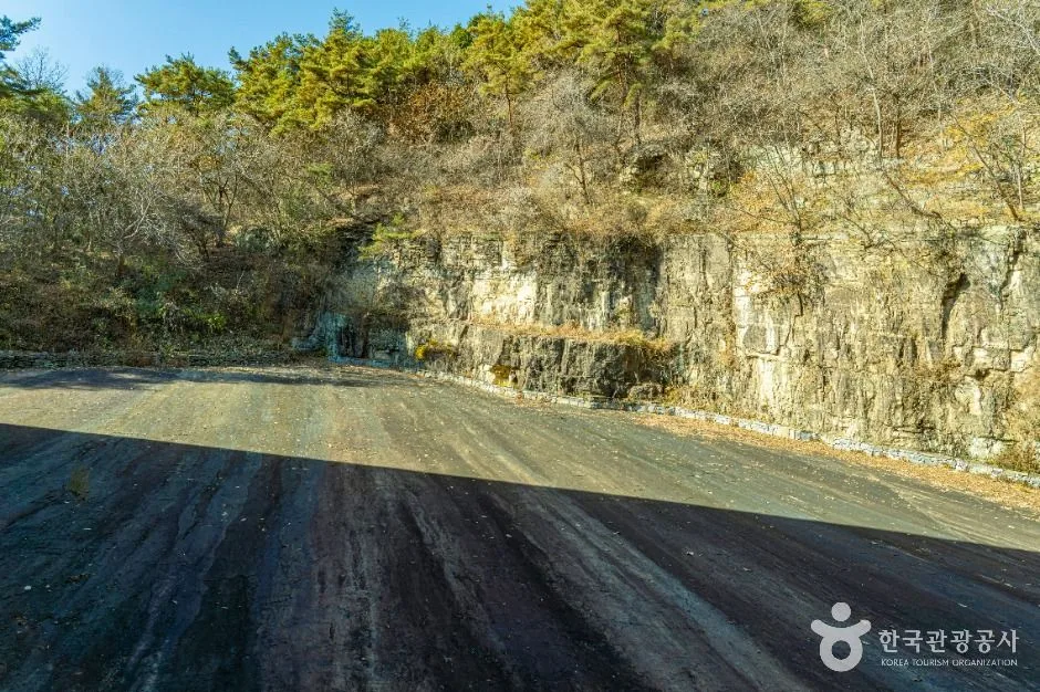 화순_서유리 공룡화석지(무등산권 국가지질공원) (5)