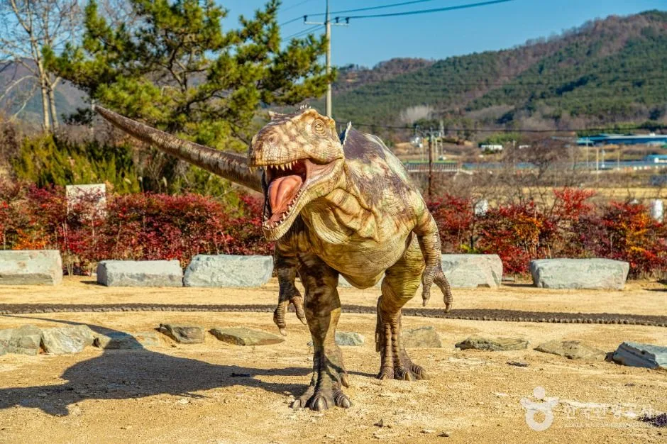화순_서유리 공룡화석지(무등산권 국가지질공원) (10)