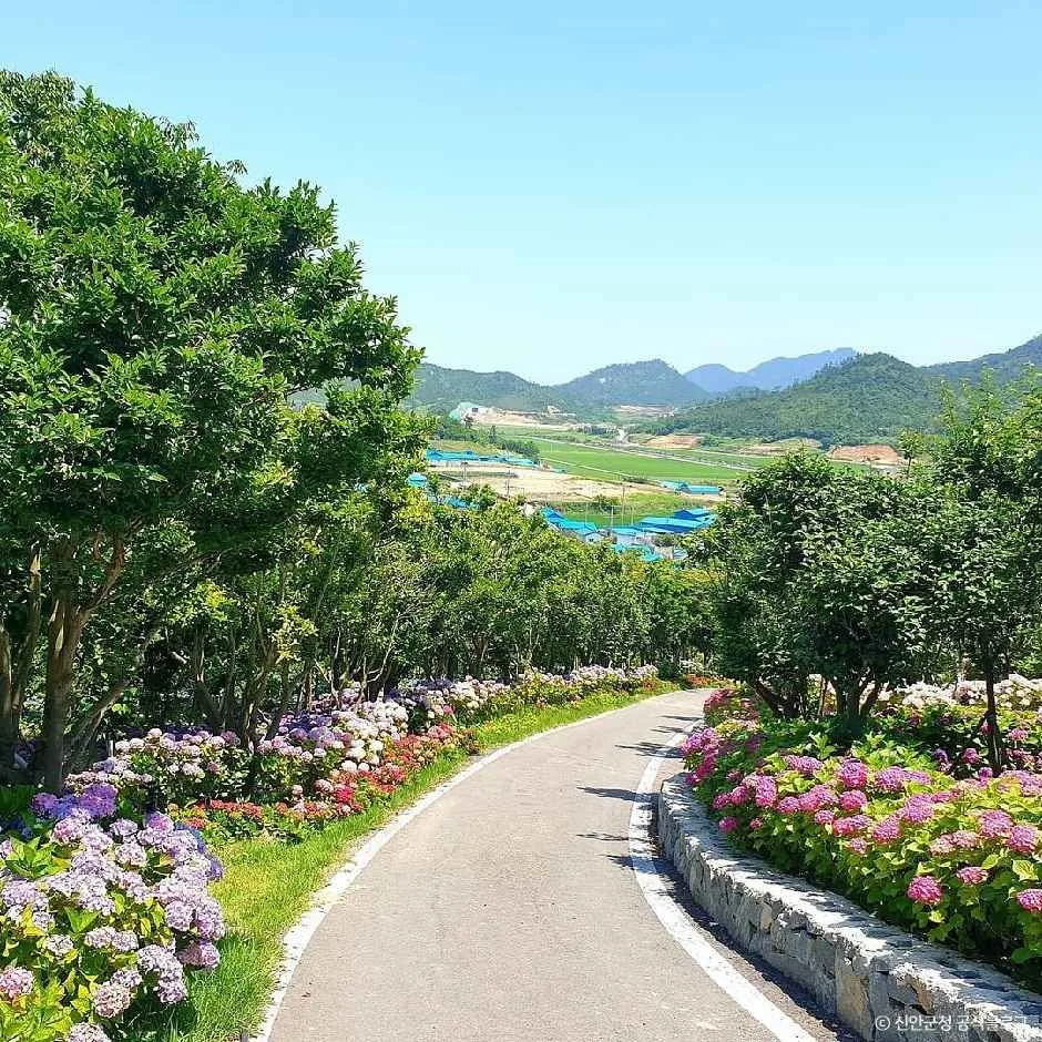 신안_환상의정원 (1).jpg