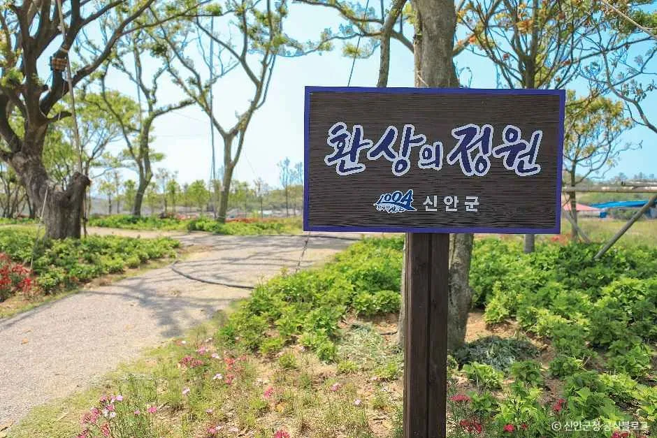 신안_환상의정원 (2).jpg