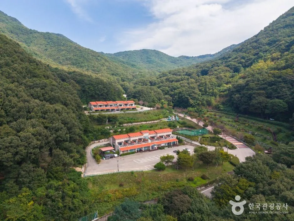 칠곡_팔공산금화자연휴양림 (4)