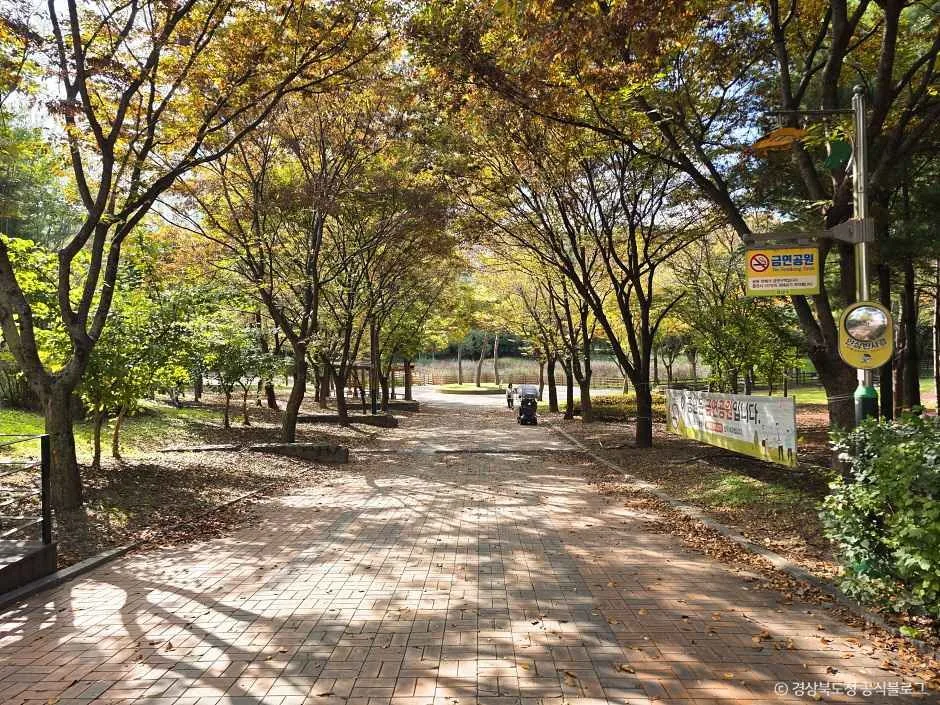 경산_말매못공원 (2).jpg