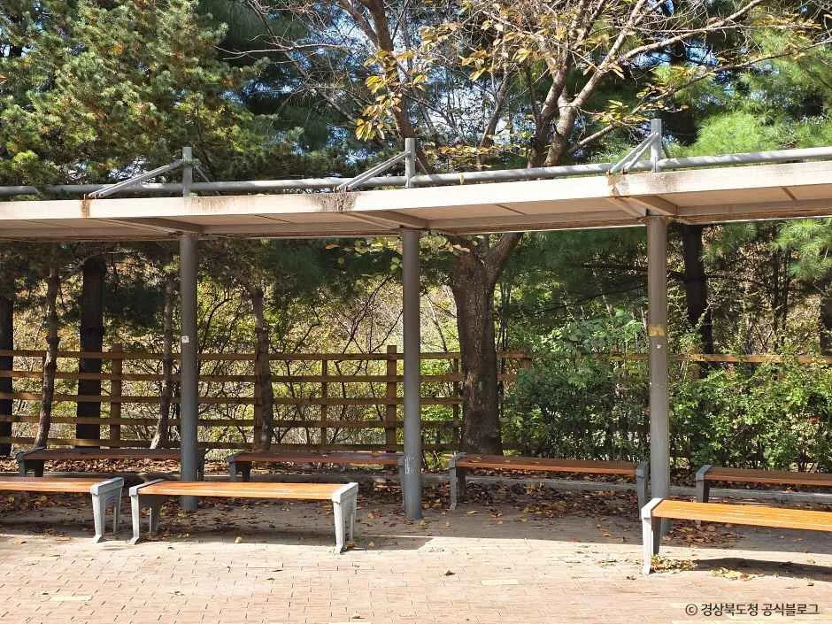 경산_말매못공원 (3).jpg