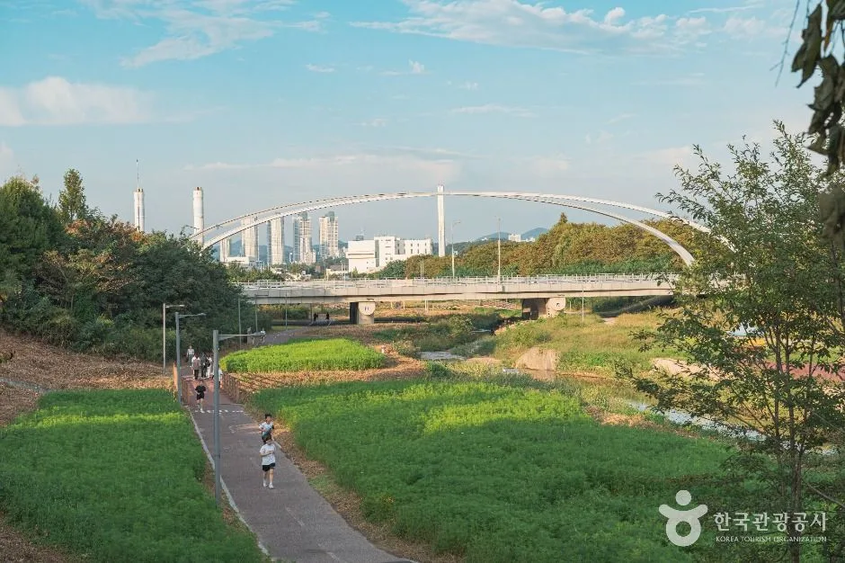 대전_동화울수변공원 (3)