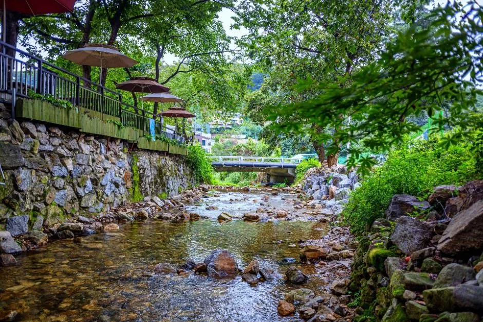 경기_용인시_고기리계곡 (2).jpg