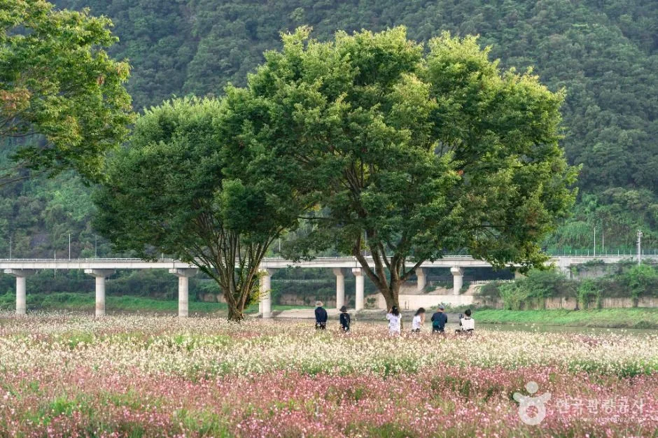 단양_도담마을 도담정원 (4)
